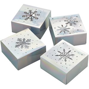 Iridescent Snowflake Box 4ct