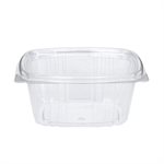 Rectangular Clear Plastic Hinged Container 6 Ounce